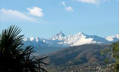 ''Monviso''